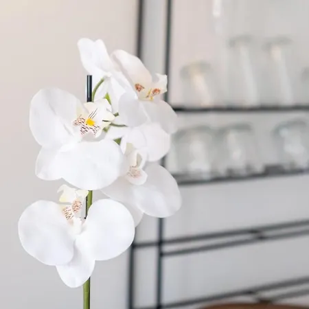 Guestready - Sea View In Madeira Appartement *