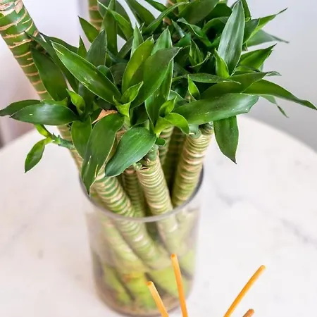 Guestready - Sea View In Madeira Appartement *