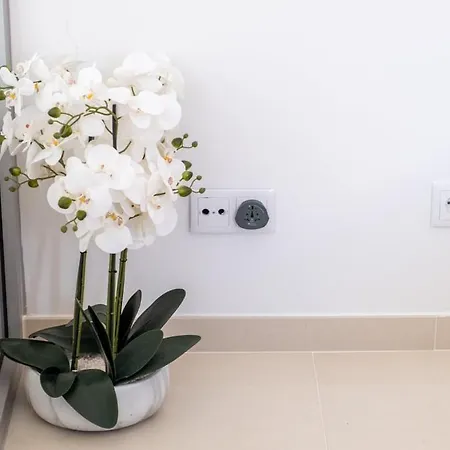 Appartement Guestready - Sea View In Madeira Funchal (Madeira)