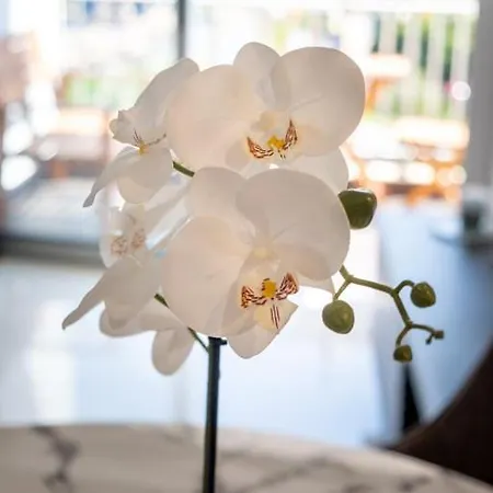 Appartement Guestready - Sea View In Madeira *