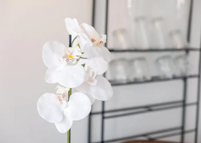 Guestready - Sea View In Madeira Διαμέρισμα *