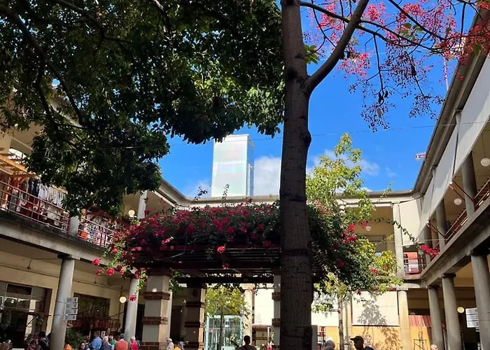 Guestready - Sea View In Madeira Διαμέρισμα Φουνκάλ