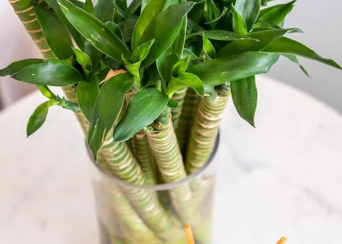 Guestready - Sea View In Madeira アパート *