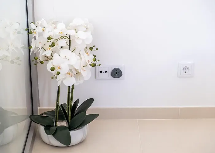 アパート Guestready - Sea View In Madeira フンシャル