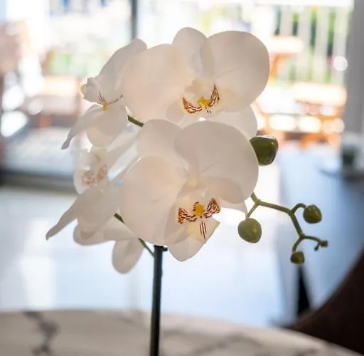 アパート Guestready - Sea View In Madeira *